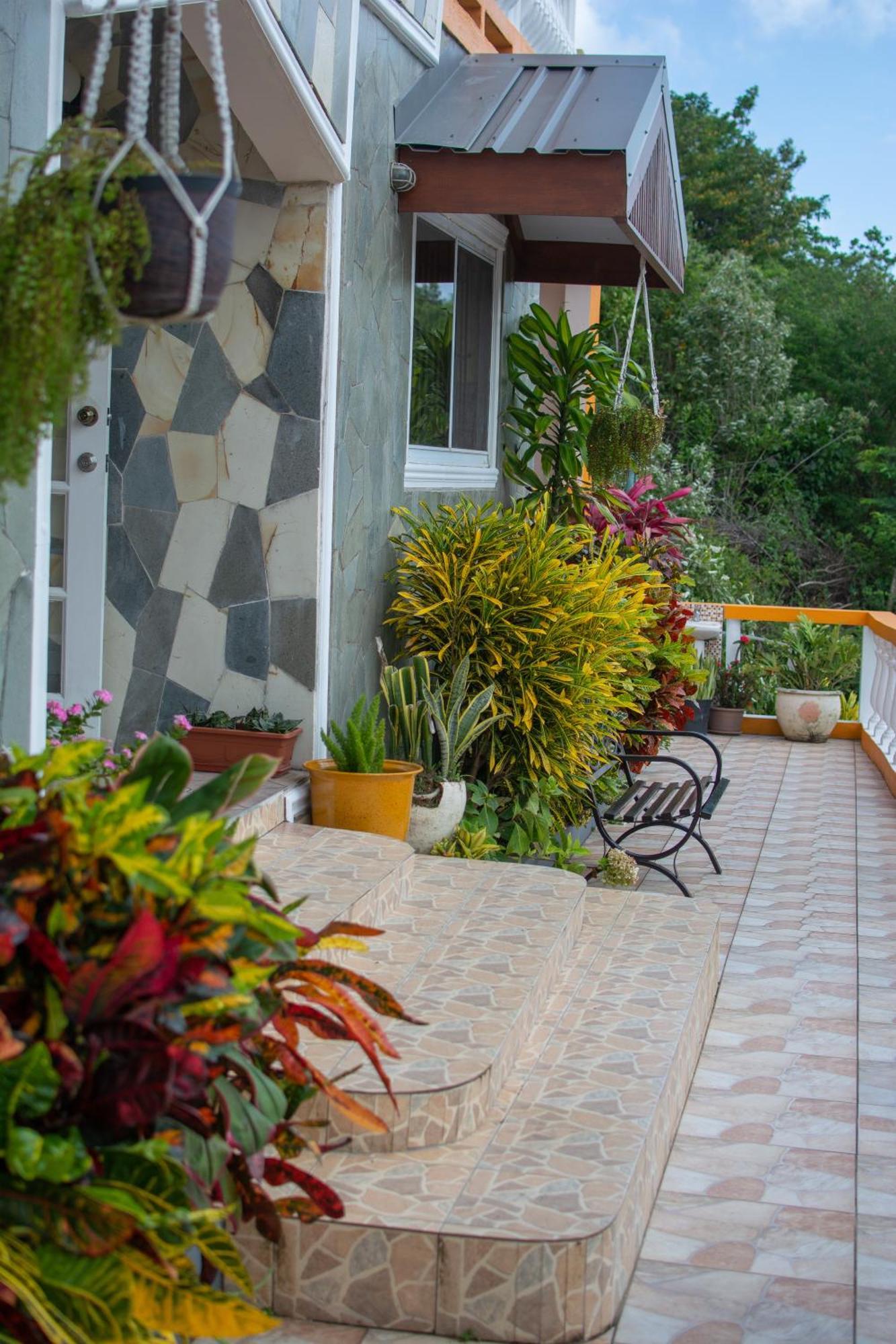 Mountain View Apartments Gros Islet Esterno foto